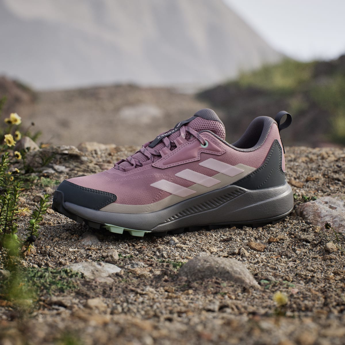 adidas Women's Terrex Anylander Hiking Shoes - Magic Mauve / Distilled Pink / Grey Six