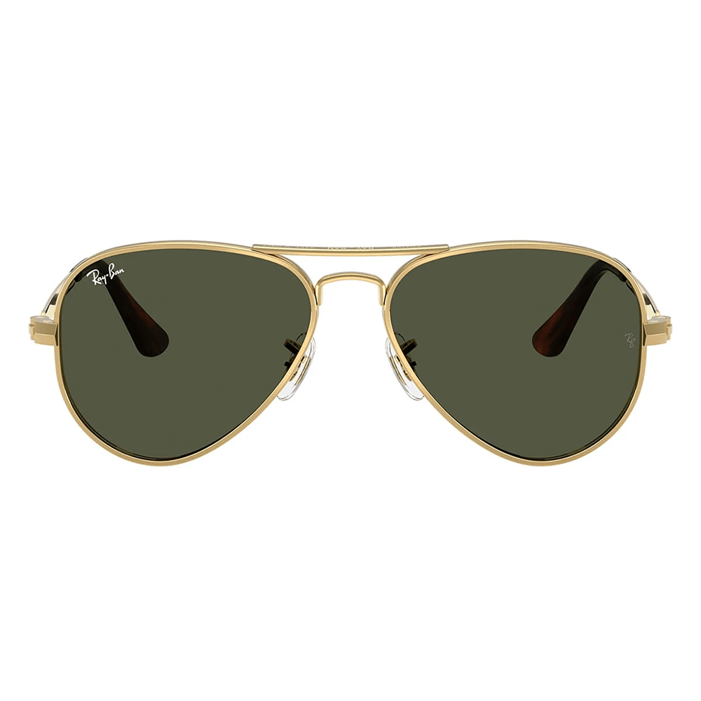 Ray-Ban RB3925 Aviator Max 001/31 58 Shades