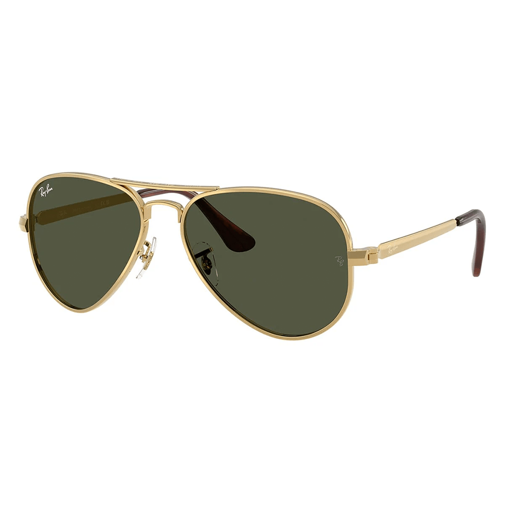 Ray-Ban RB3925 Aviator Max 001/31 58 Shades