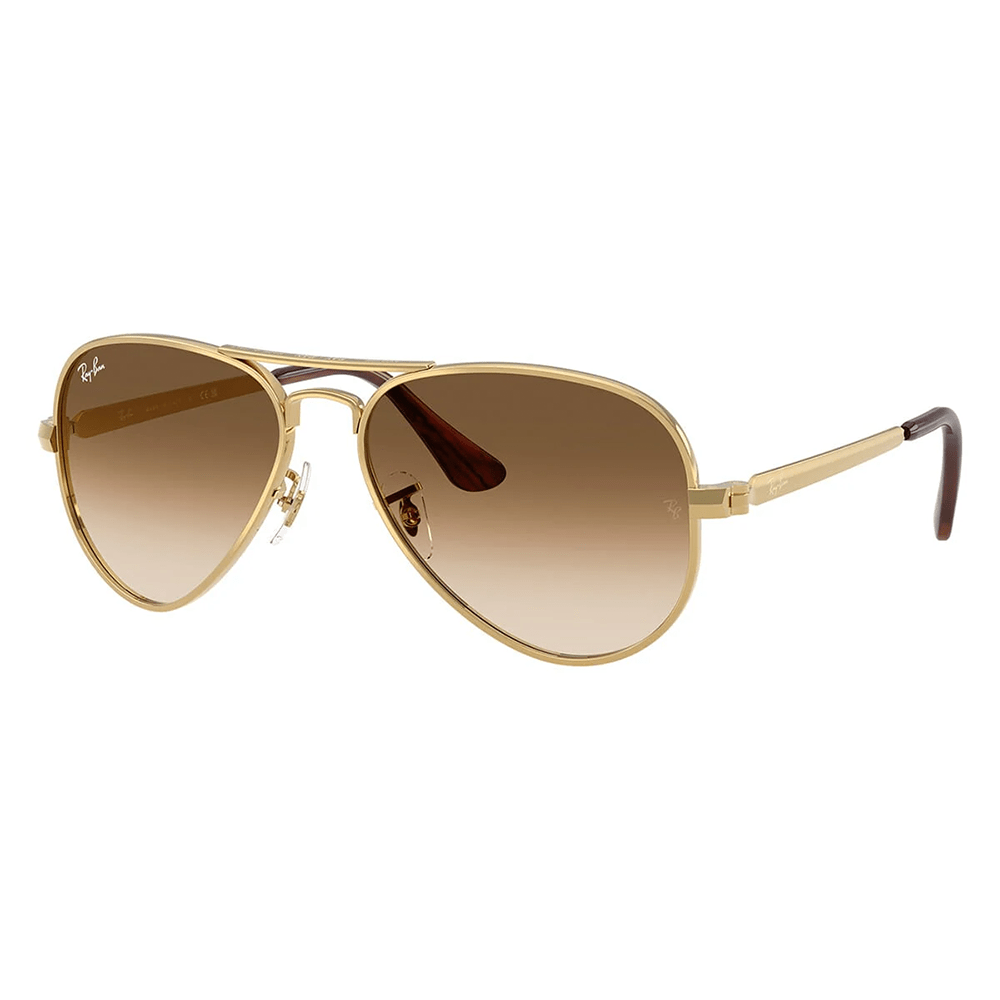 Ray-Ban RB3925 Aviator Max 001/51 58 Shades