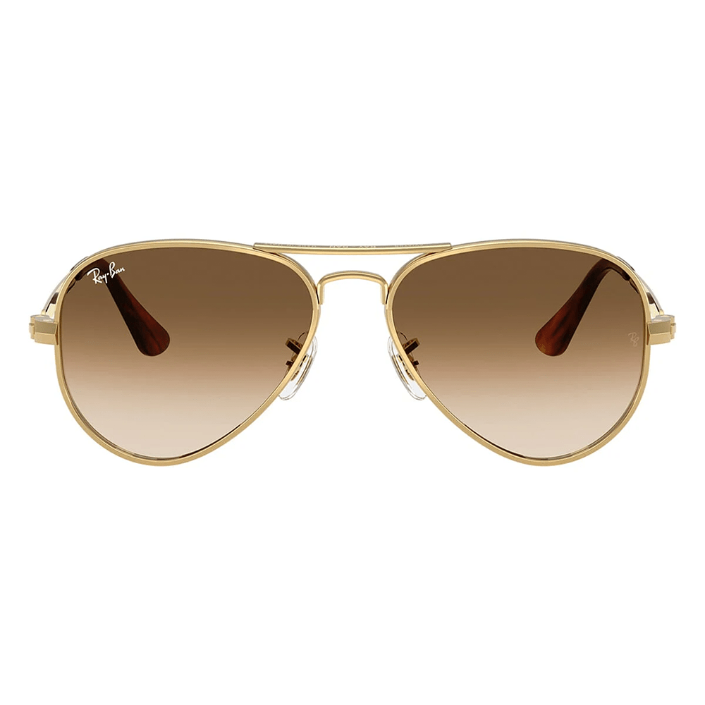 Ray-Ban RB3925 Aviator Max 001/51 58 Shades