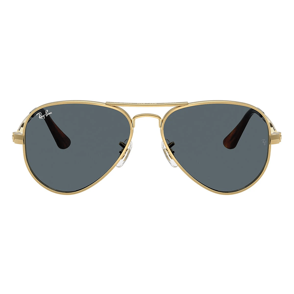 Ray-Ban RB3925 Aviator Max 001/R5 58 Shades