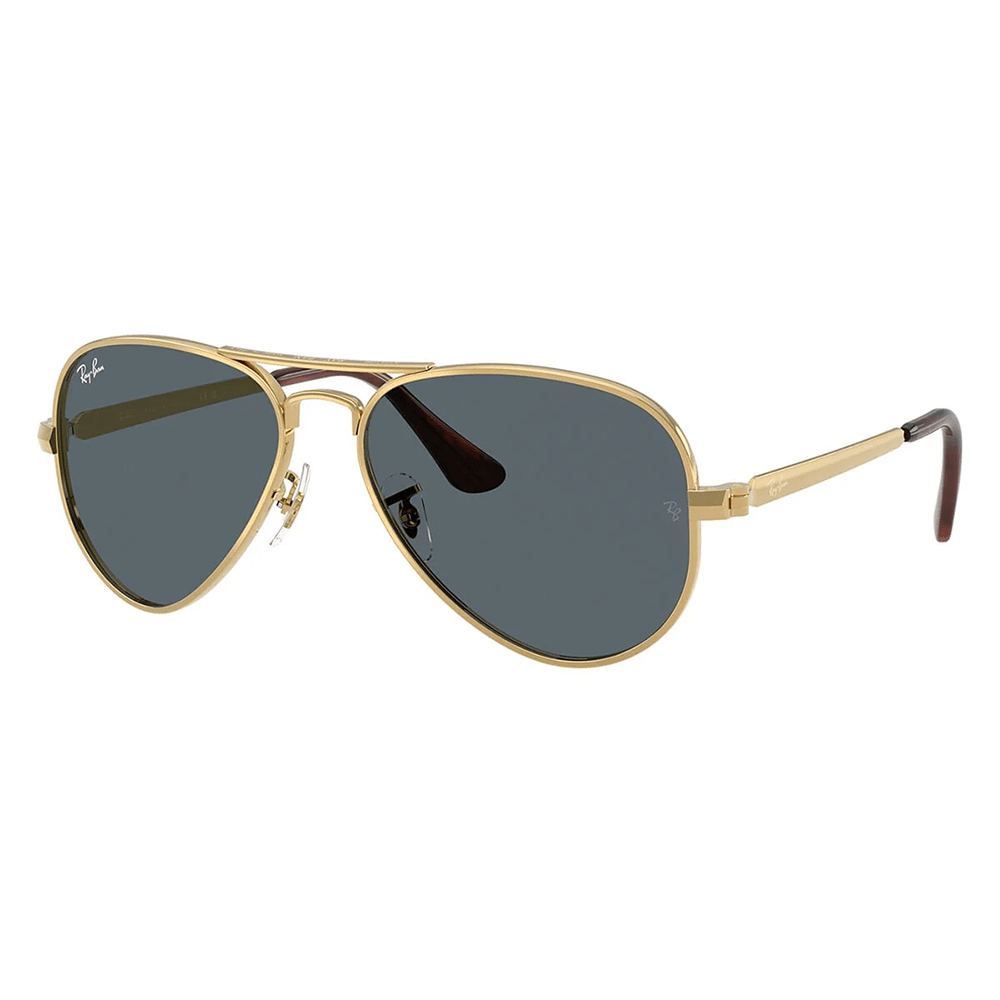 Ray-Ban RB3925 Aviator Max 001/R5 58 Shades