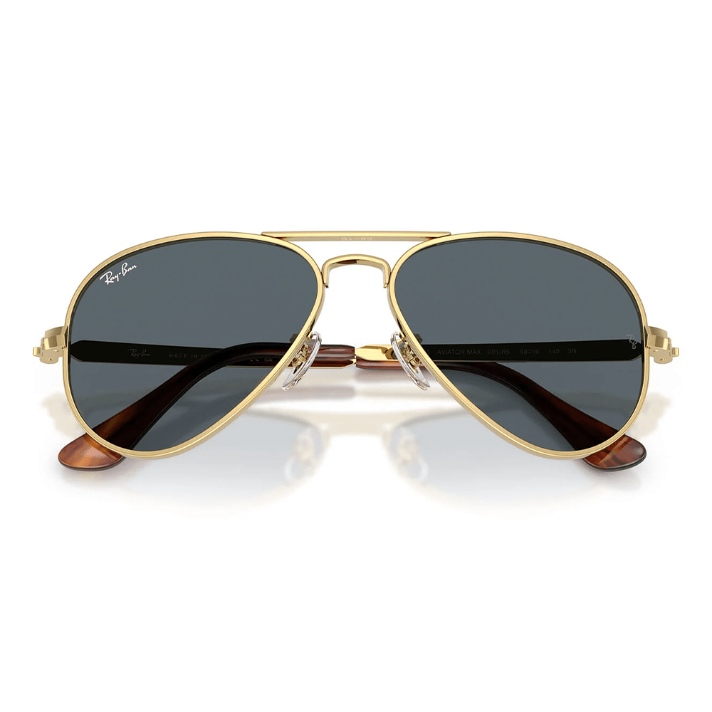 Ray-Ban RB3925 Aviator Max 001/R5 58 Shades
