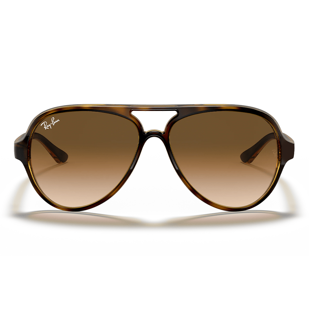 Ray-Ban RB4125 CATS 710/51 Shades