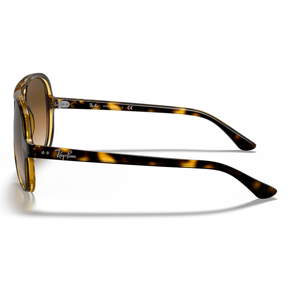 Ray-Ban RB4125 CATS 710/51 Shades