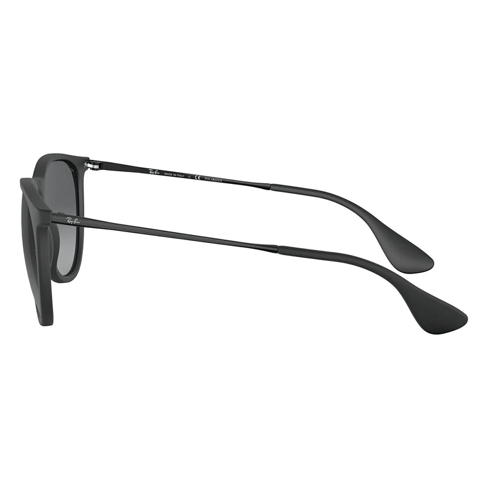 Ray-Ban RB4171 ERIKA 622/T3 Polarized Shades