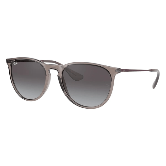 Ray-Ban RB4171 ERIKA 65138G Shades