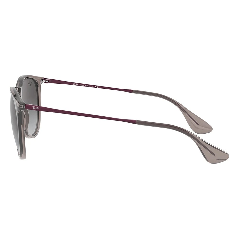 Ray-Ban RB4171 ERIKA 65138G Shades