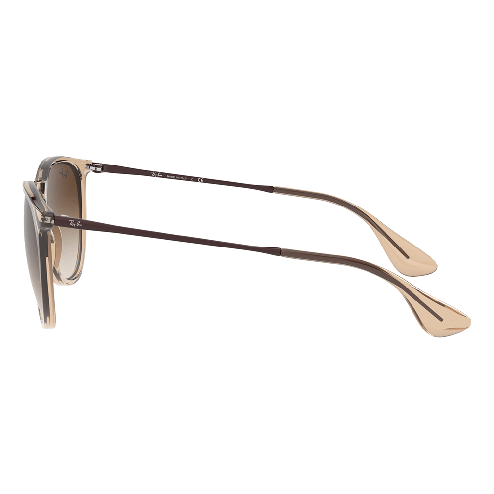 Ray-Ban RB4171 ERIKA 651413 Shades
