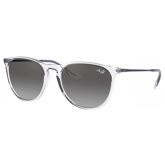 Ray-Ban RB4171 ERIKA 651611 Shades