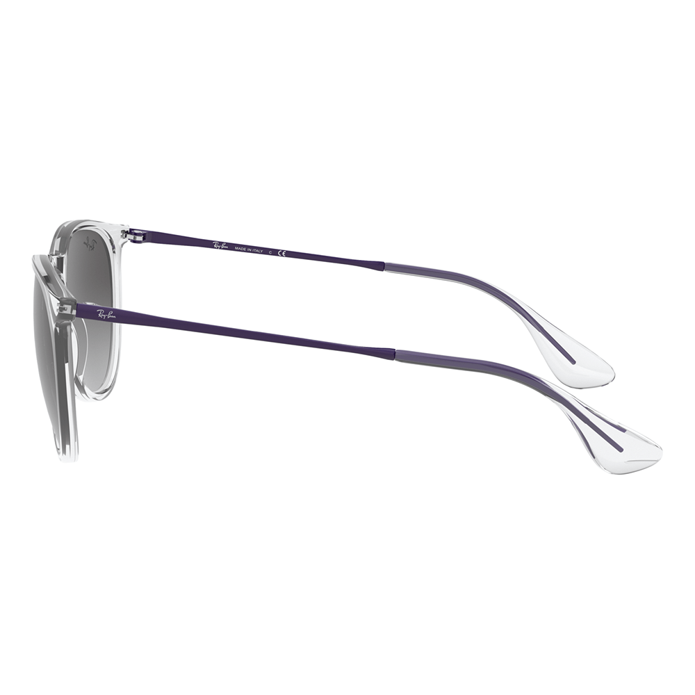 Ray-Ban RB4171 ERIKA 651611 Shades