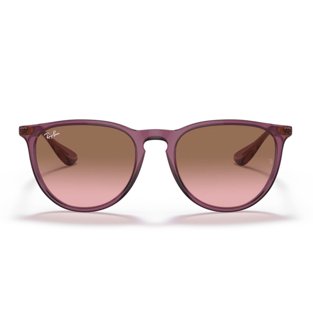 Ray-Ban RB4171 ERIKA 659114 Shades