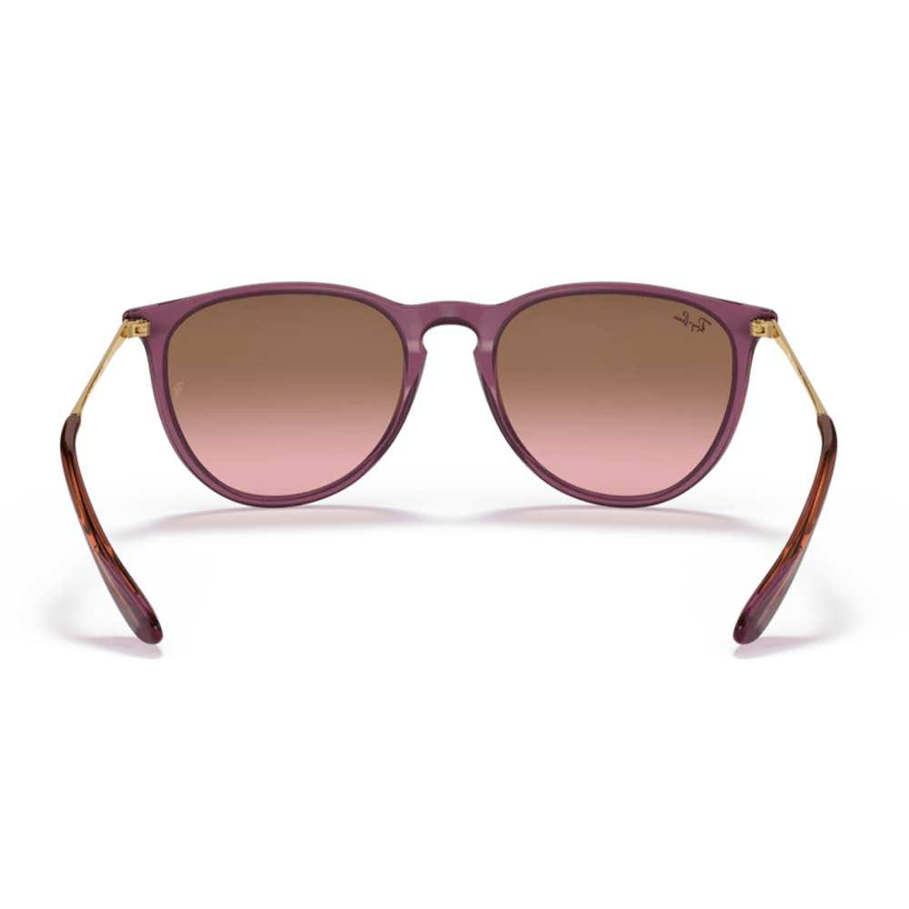 Ray-Ban RB4171 ERIKA 659114 Shades