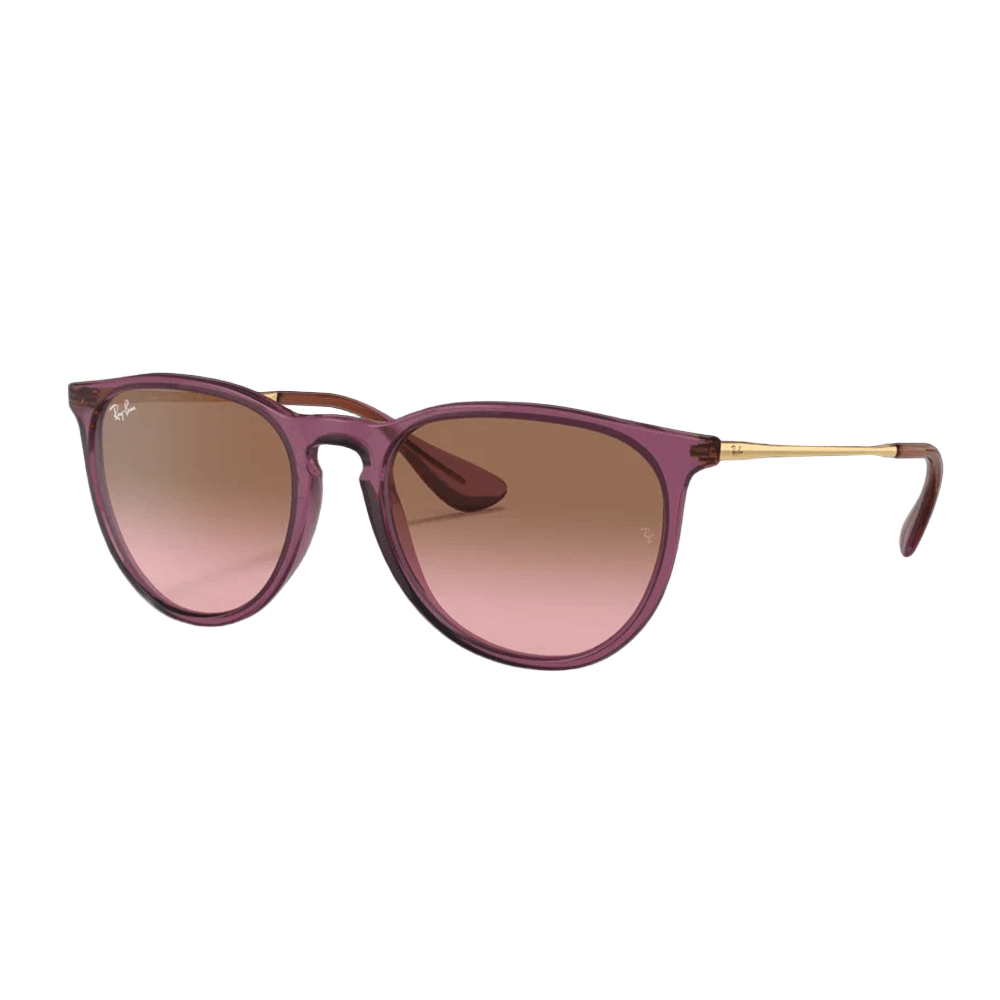 Ray-Ban RB4171 ERIKA 659114 Shades