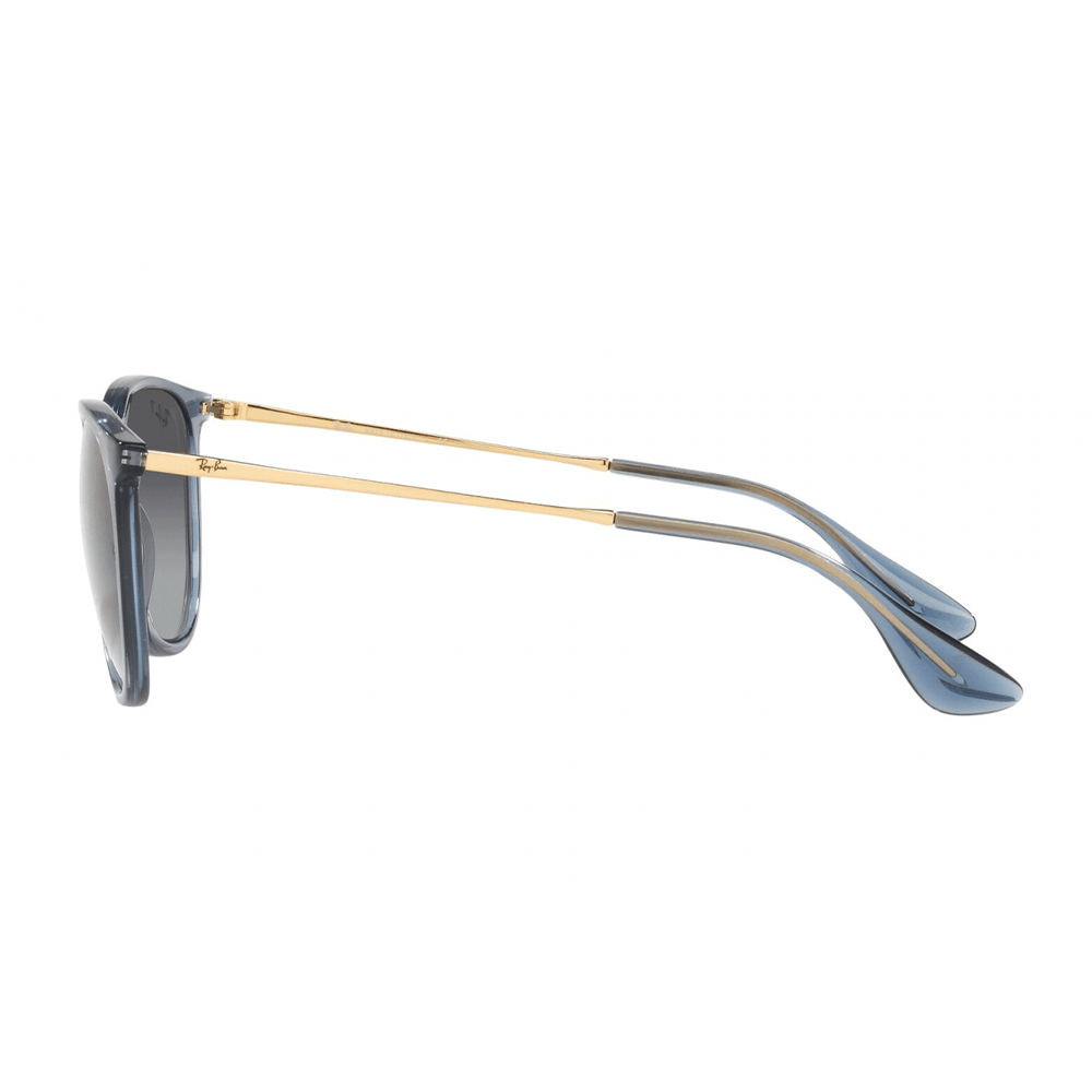 Ray-Ban RB4171 ERIKA 6592T3 Polarized Shades