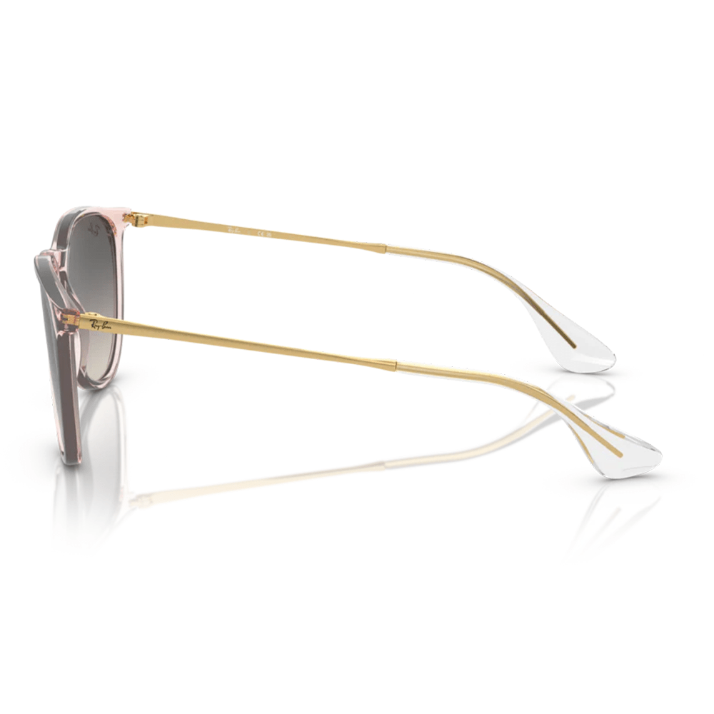 Ray-Ban RB4171 ERIKA 674211 Shades