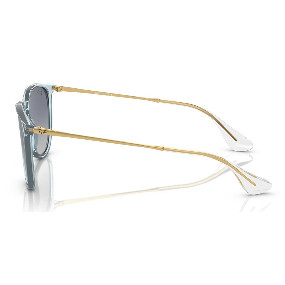Ray-Ban RB4171 Erika 67434L Shades