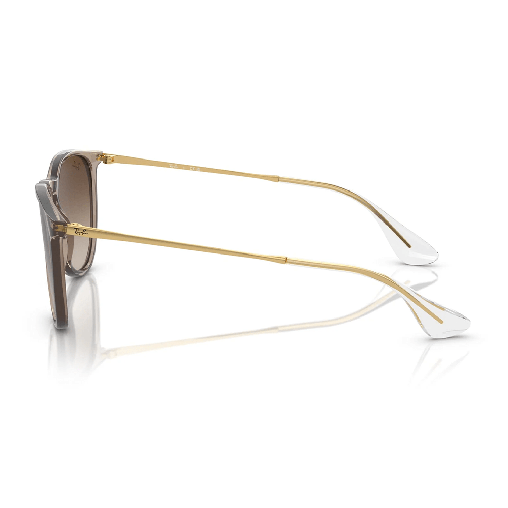 Ray-Ban RB4171 ERIKA 674413 Shades
