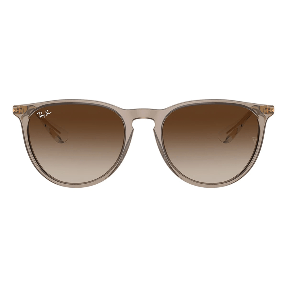 Ray-Ban RB4171 ERIKA 674413 Shades