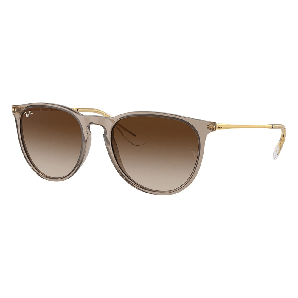 Ray-Ban RB4171 ERIKA 674413 Shades