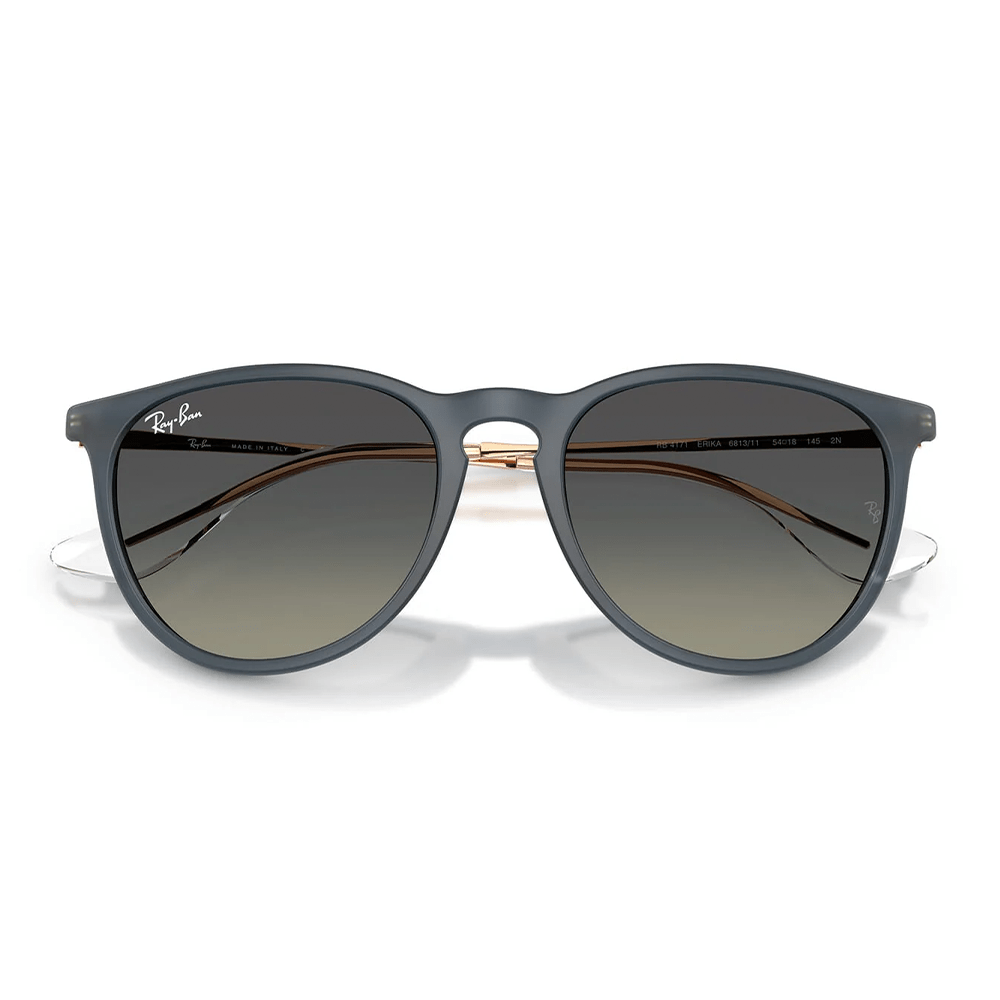 Ray-Ban RB4171 Erika 681311 Shades