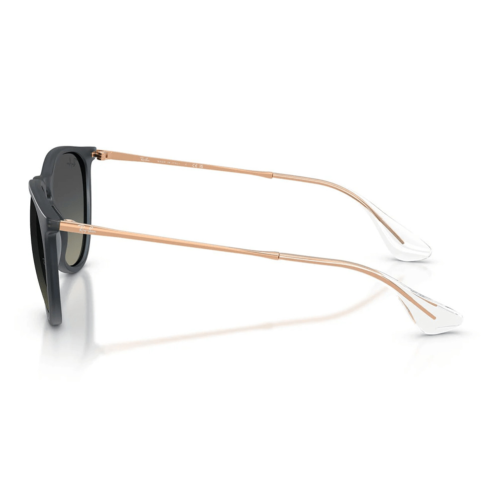 Ray-Ban RB4171 Erika 681311 Shades