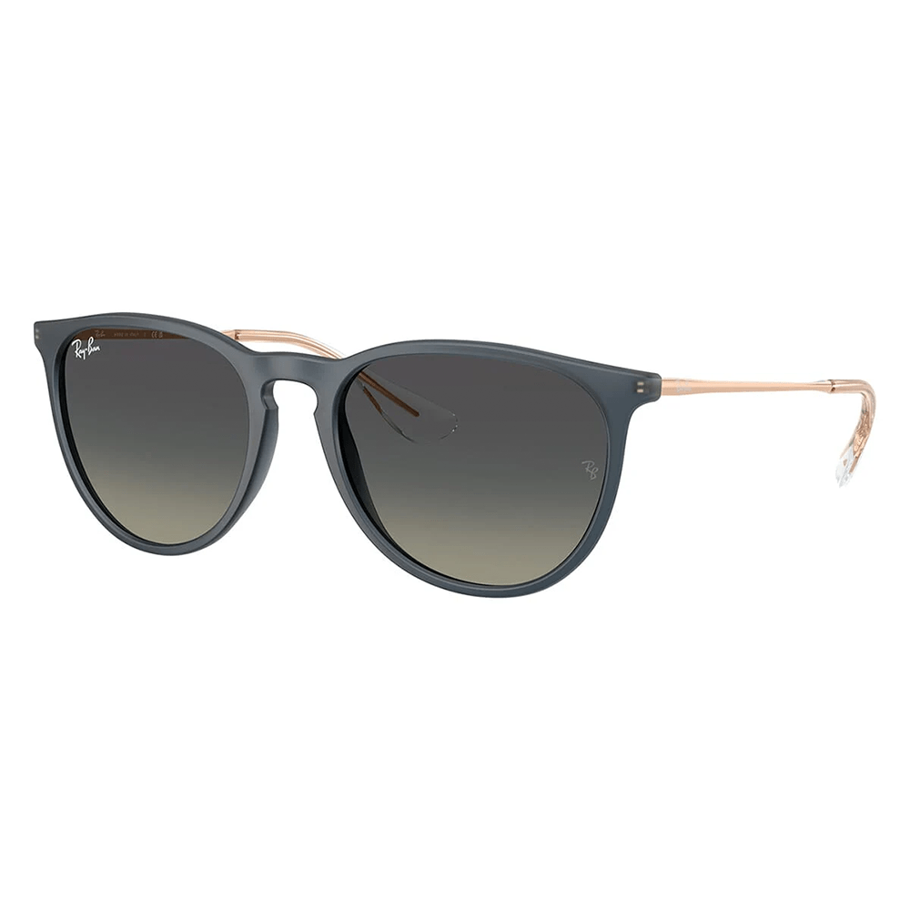 Ray-Ban RB4171 Erika 681311 Shades