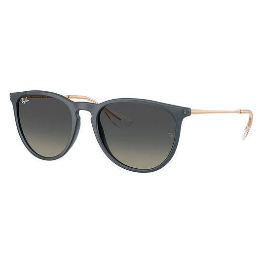 Ray-Ban RB4171 Erika 681311 Shades