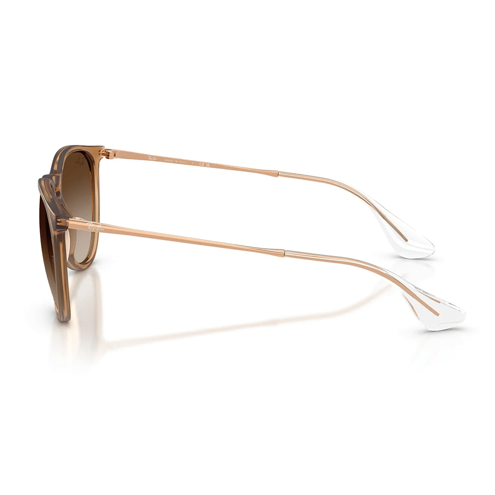 Ray-Ban RB4171 Erika 681413 Shades