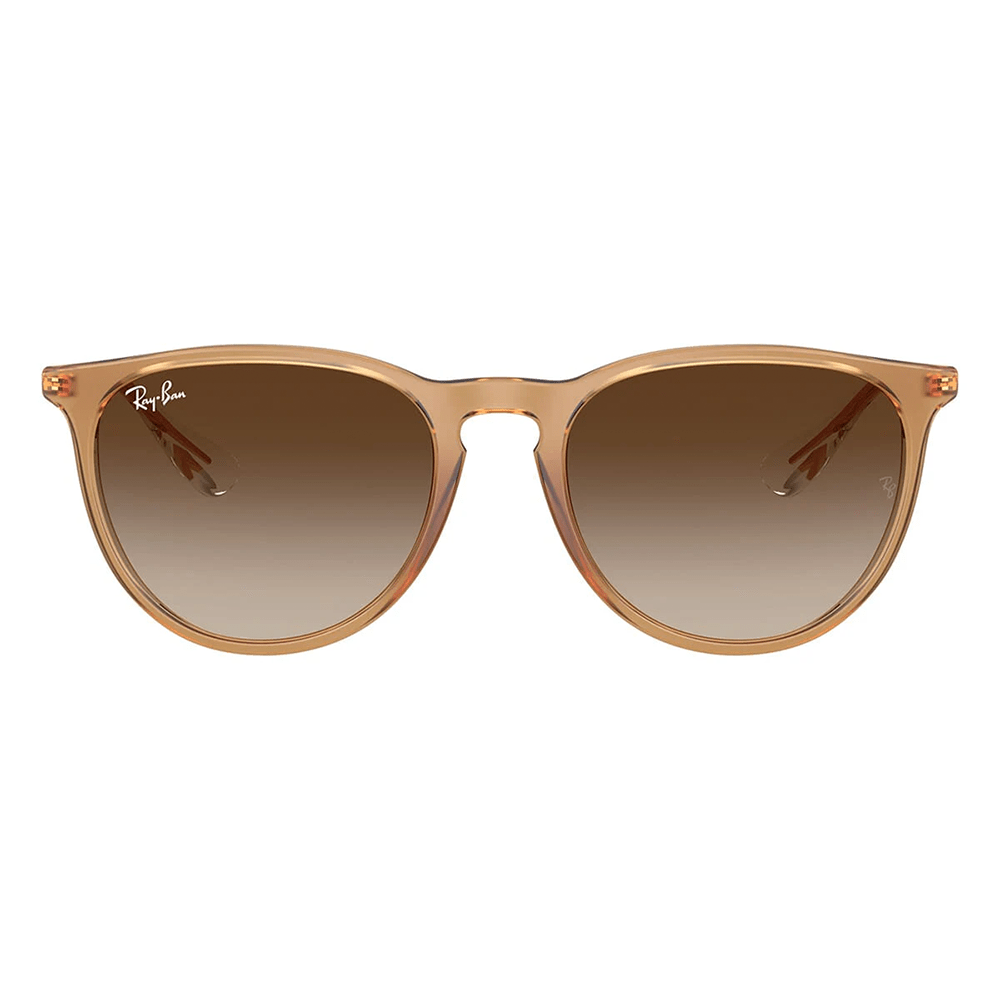 Ray-Ban RB4171 Erika 681413 Shades