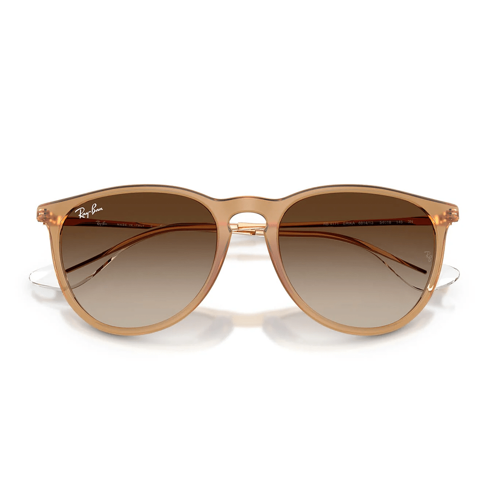Ray-Ban RB4171 Erika 681413 Shades
