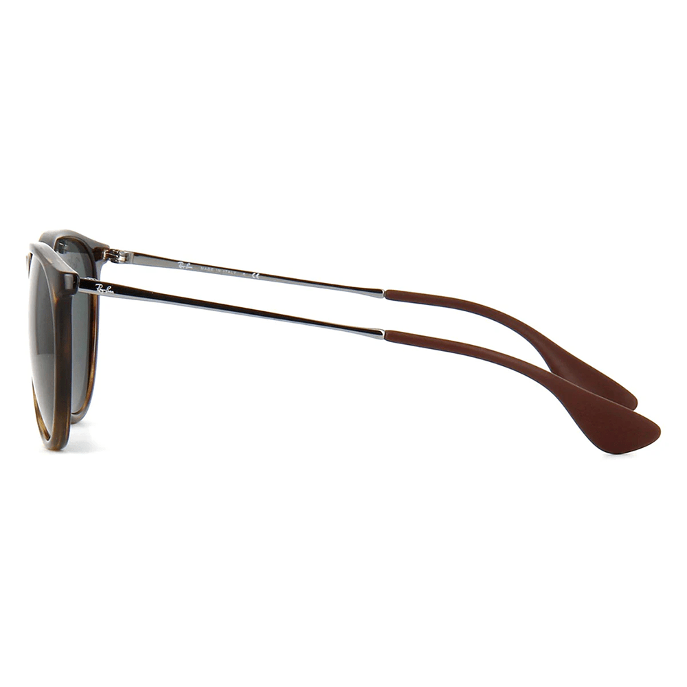 Ray-Ban RB4171 ERIKA 710/71 Shades