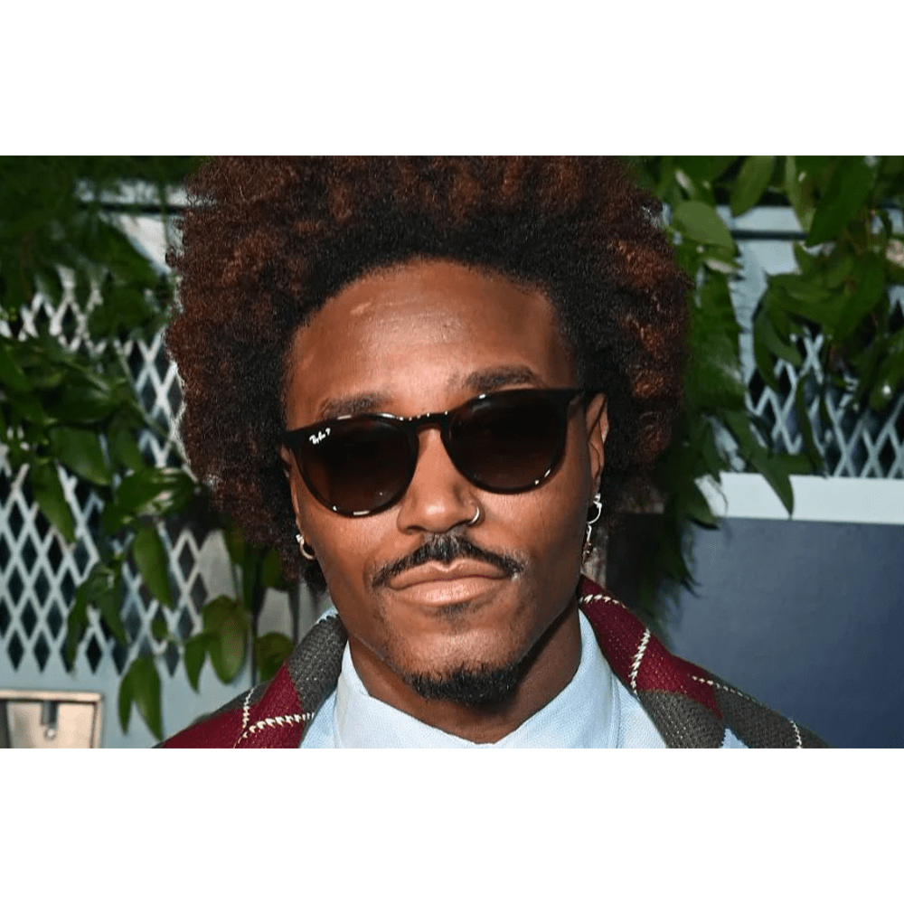 Ray-Ban RB4171 ERIKA 710/T5 Polarized Shades