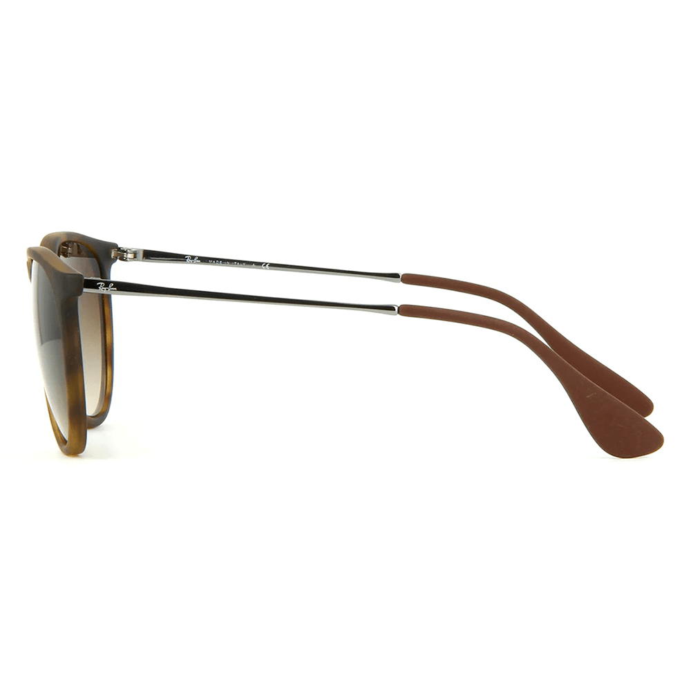 Ray-Ban RB4171 Erika 865/13 Shades