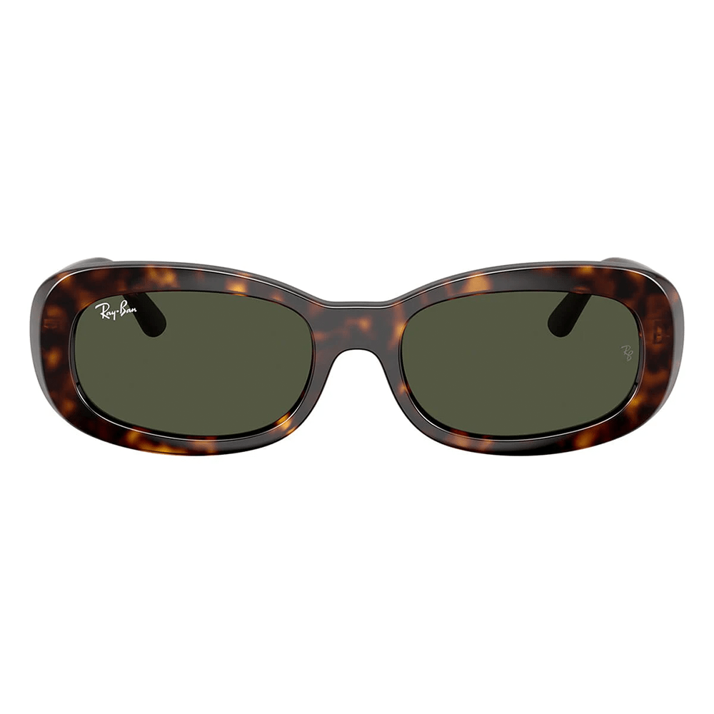 Ray-Ban RB2221 902/31 Shades
