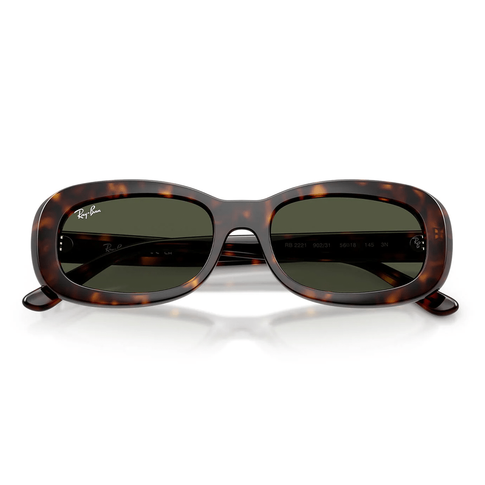 Ray-Ban RB2221 902/31 Shades