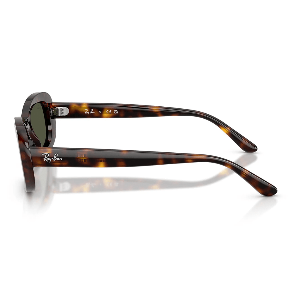 Ray-Ban RB2221 902/31 Shades