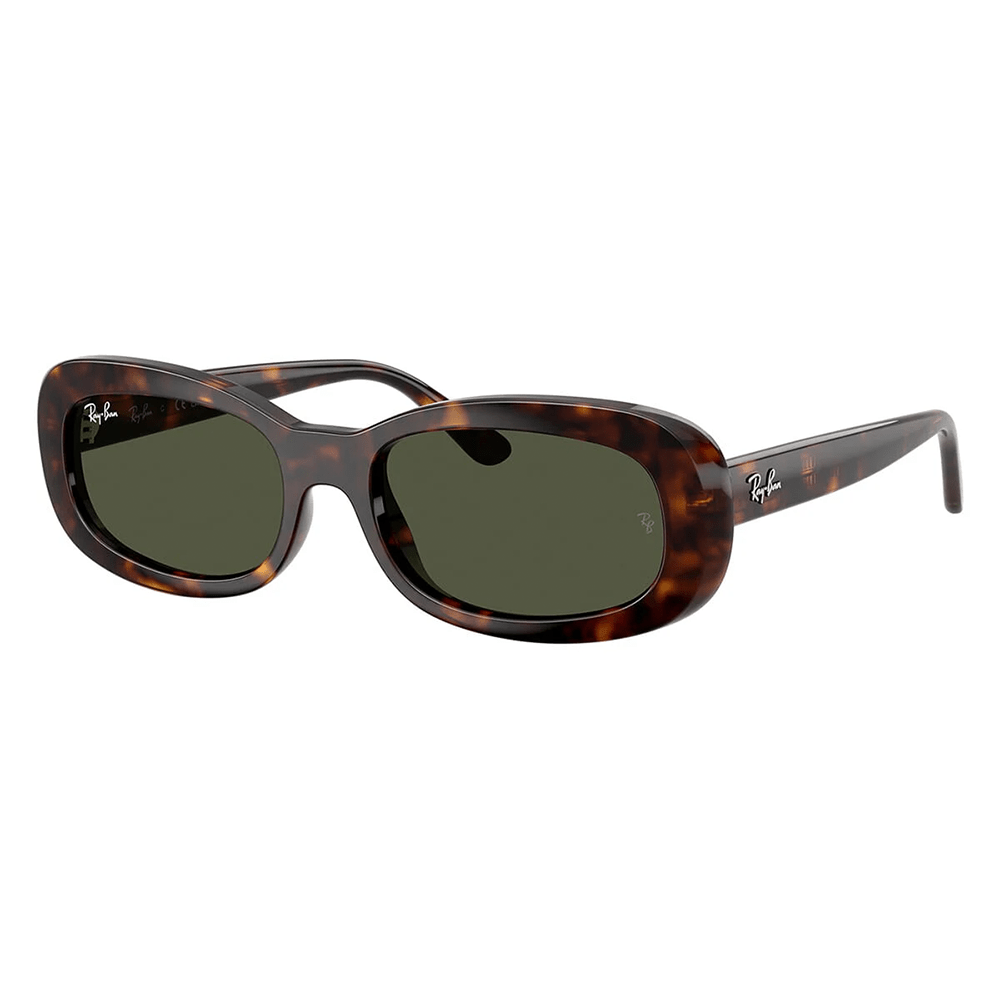 Ray-Ban RB2221 902/31 Shades