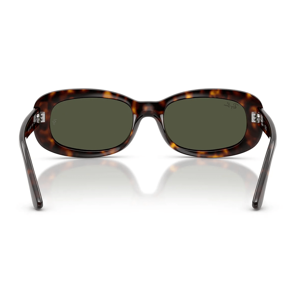 Ray-Ban RB2221 902/31 Shades