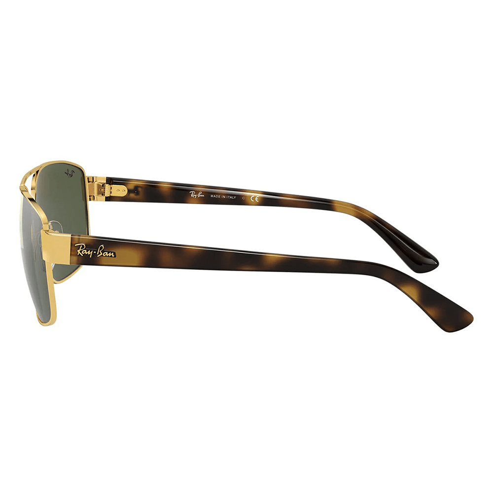 Ray-Ban RB3663 001/31 Shades