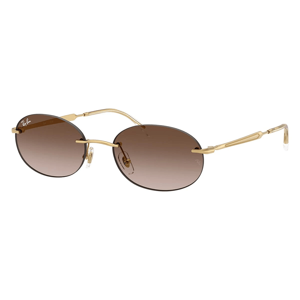 Ray-Ban RB3767 001/13 Shades