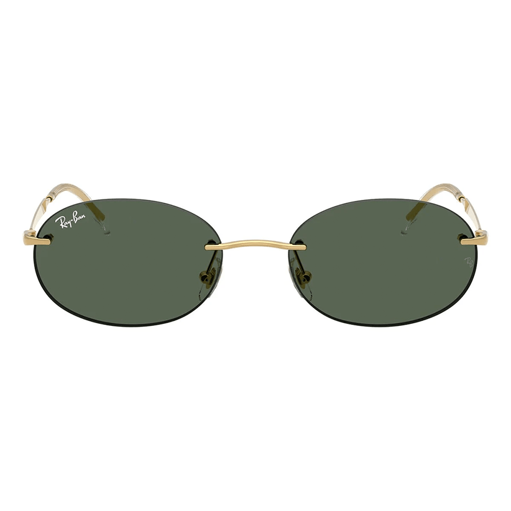 Ray-Ban RB3767 001/71 Shades