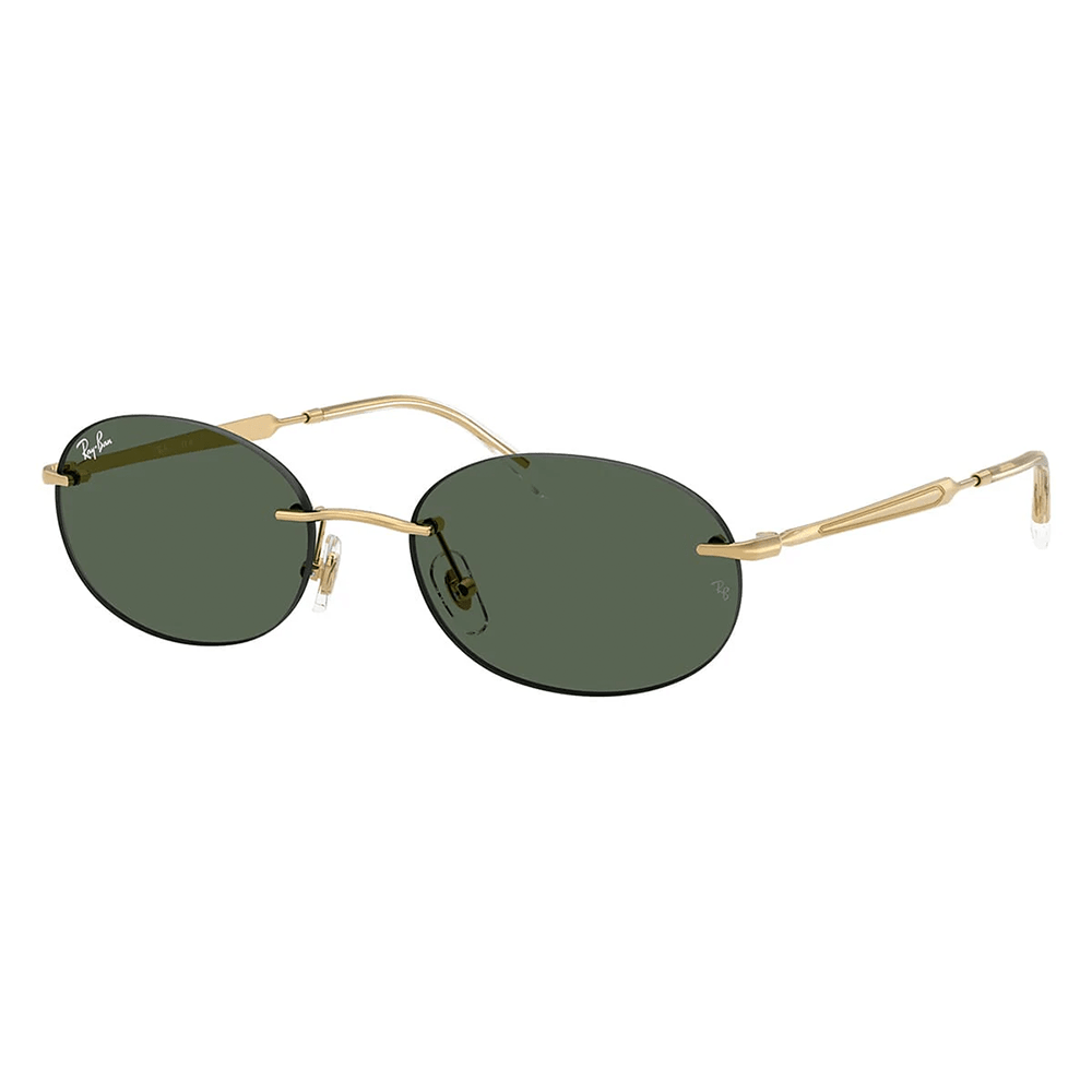 Ray-Ban RB3767 001/71 Shades