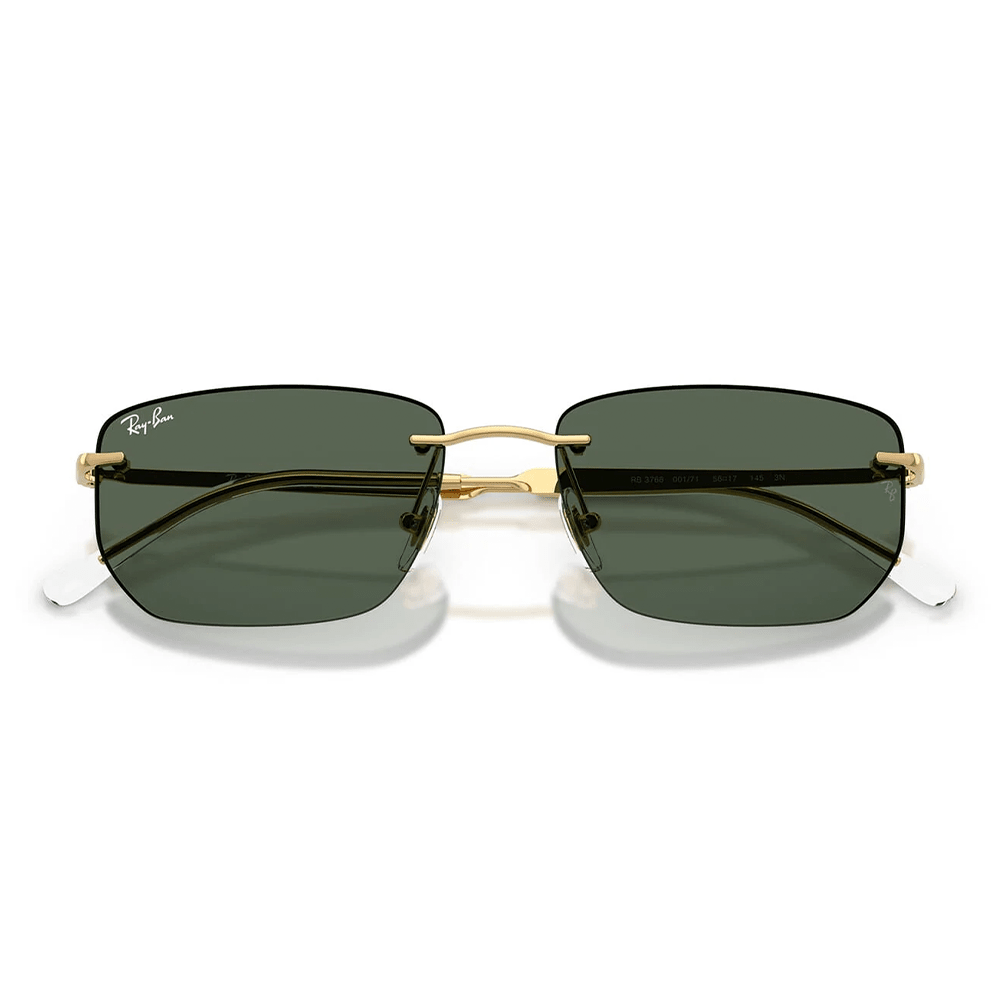 Ray-Ban RB3768 001/71 Shades