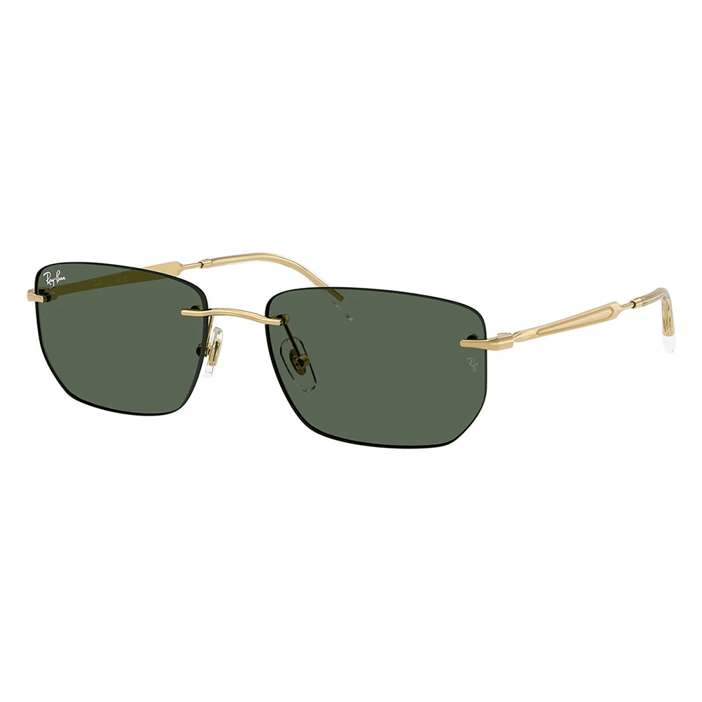 Ray-Ban RB3768 001/71 Shades