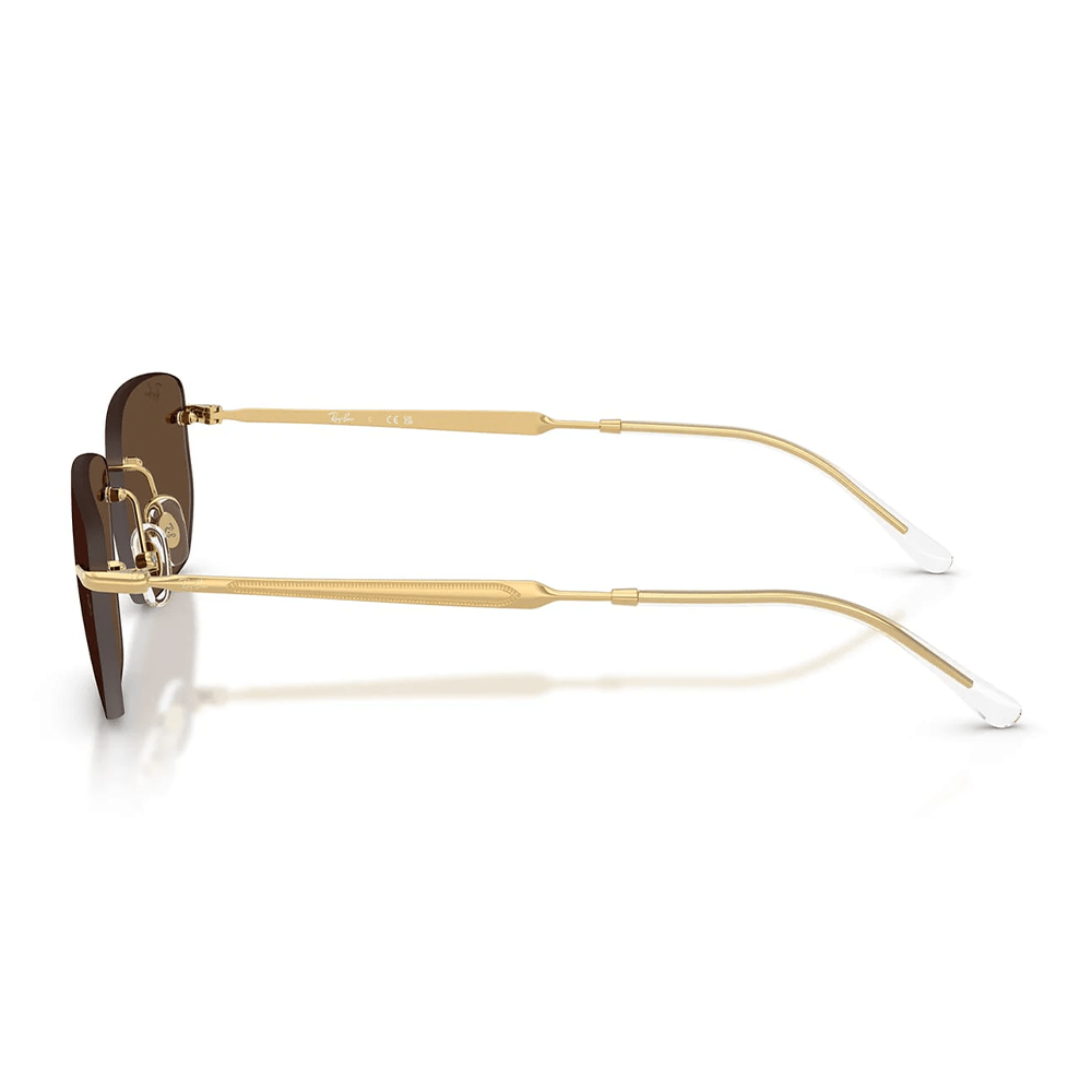 Ray-Ban RB3768 001/73 Shades