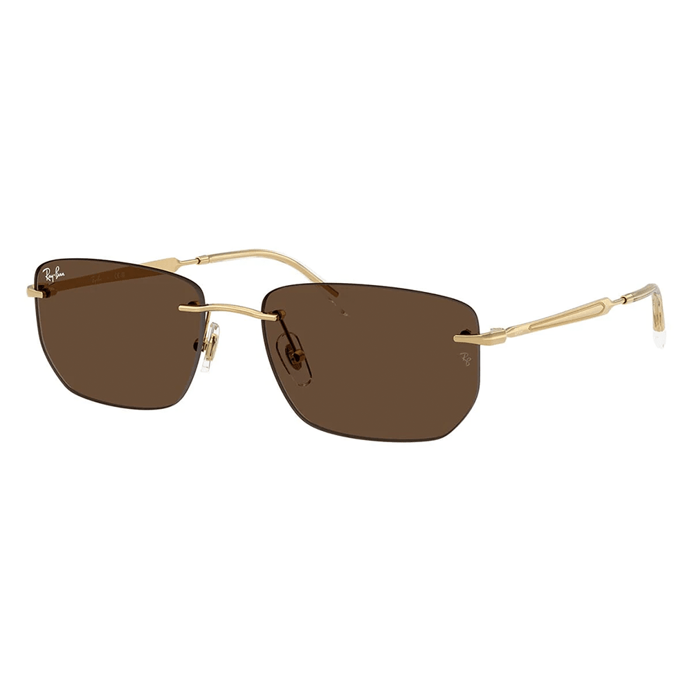 Ray-Ban RB3768 001/73 Shades