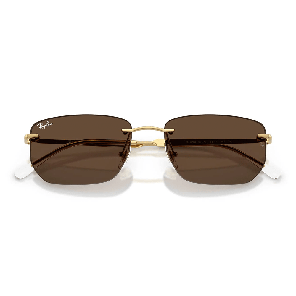 Ray-Ban RB3768 001/73 Shades