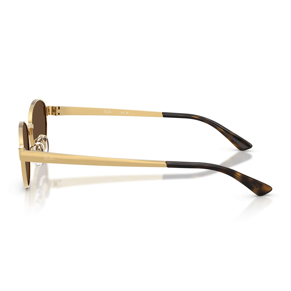 Ray-Ban RB3774D 001/73 Shades